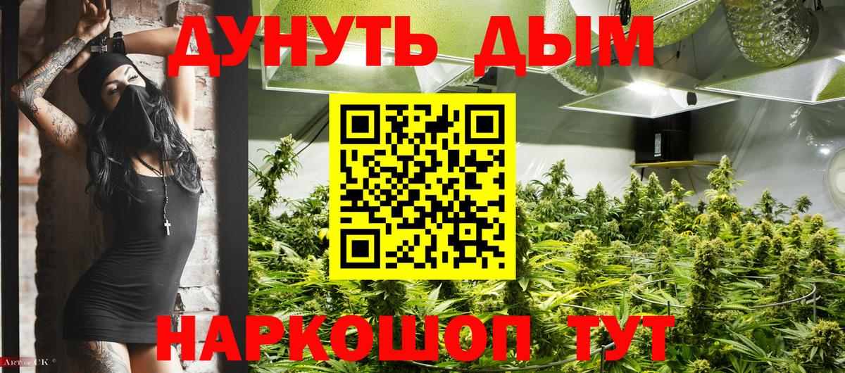 Конопля Bruce Banner  МАРИХУАНА сатива  Бошки марихуана планчик  Вход с VPN  Сосновый Бор 